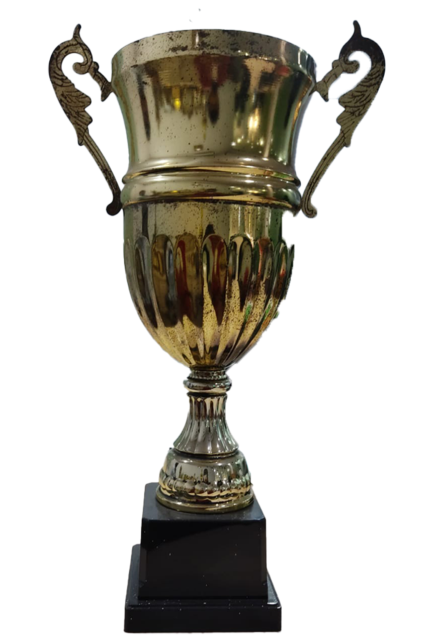 Customer Excellence Award